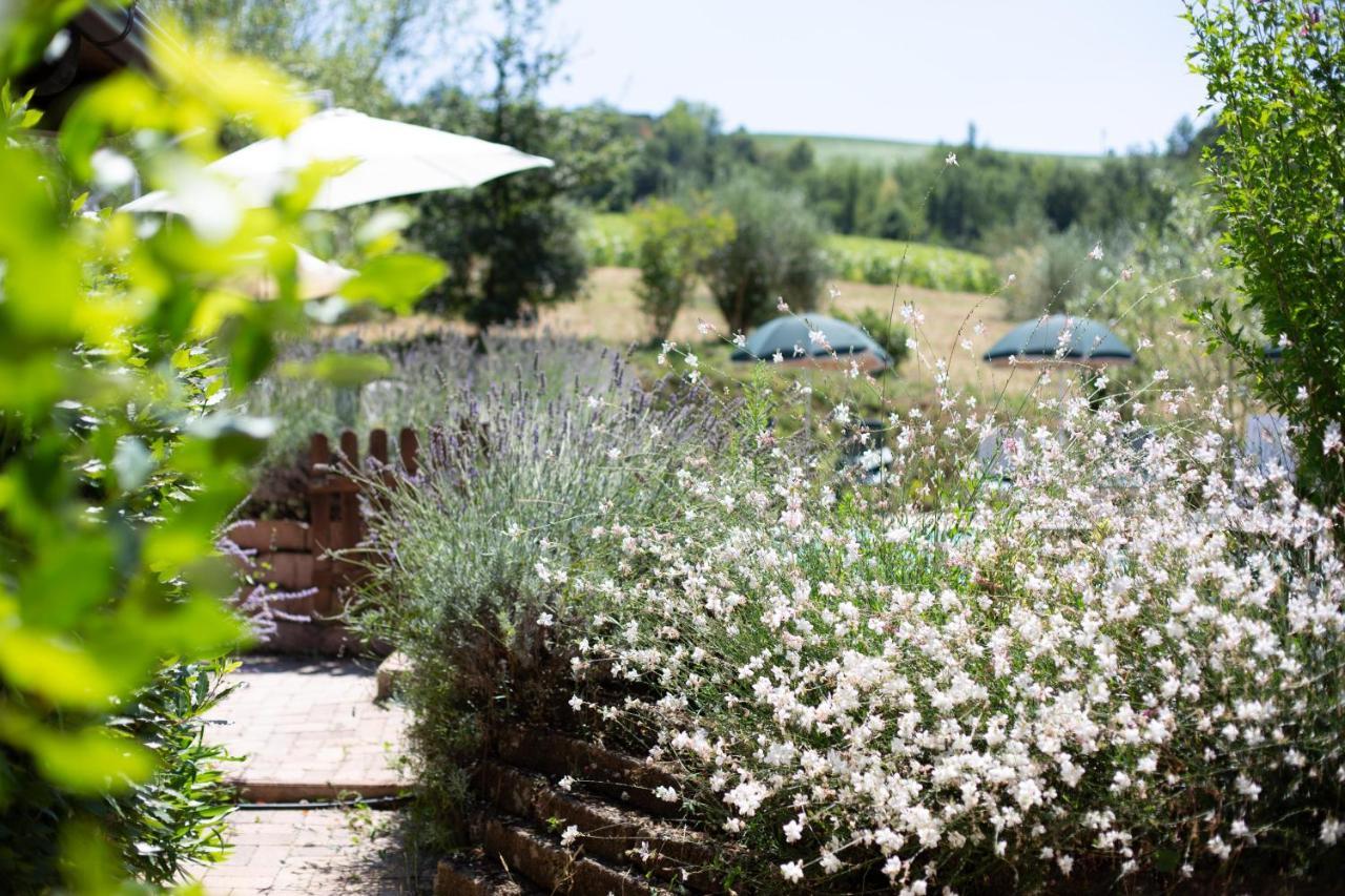 Country House Villa Sabrina San Ginesio Exterior photo