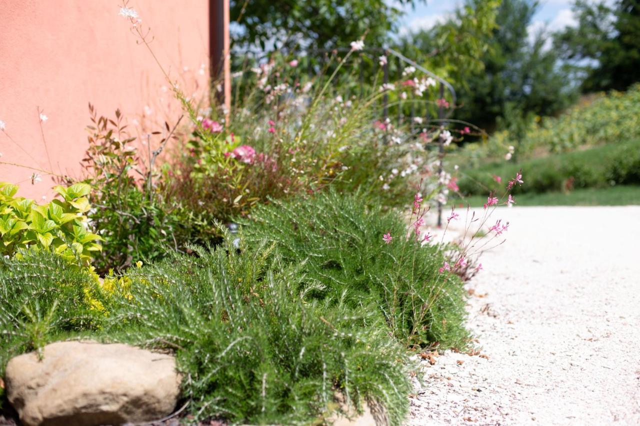 Country House Villa Sabrina San Ginesio Exterior photo