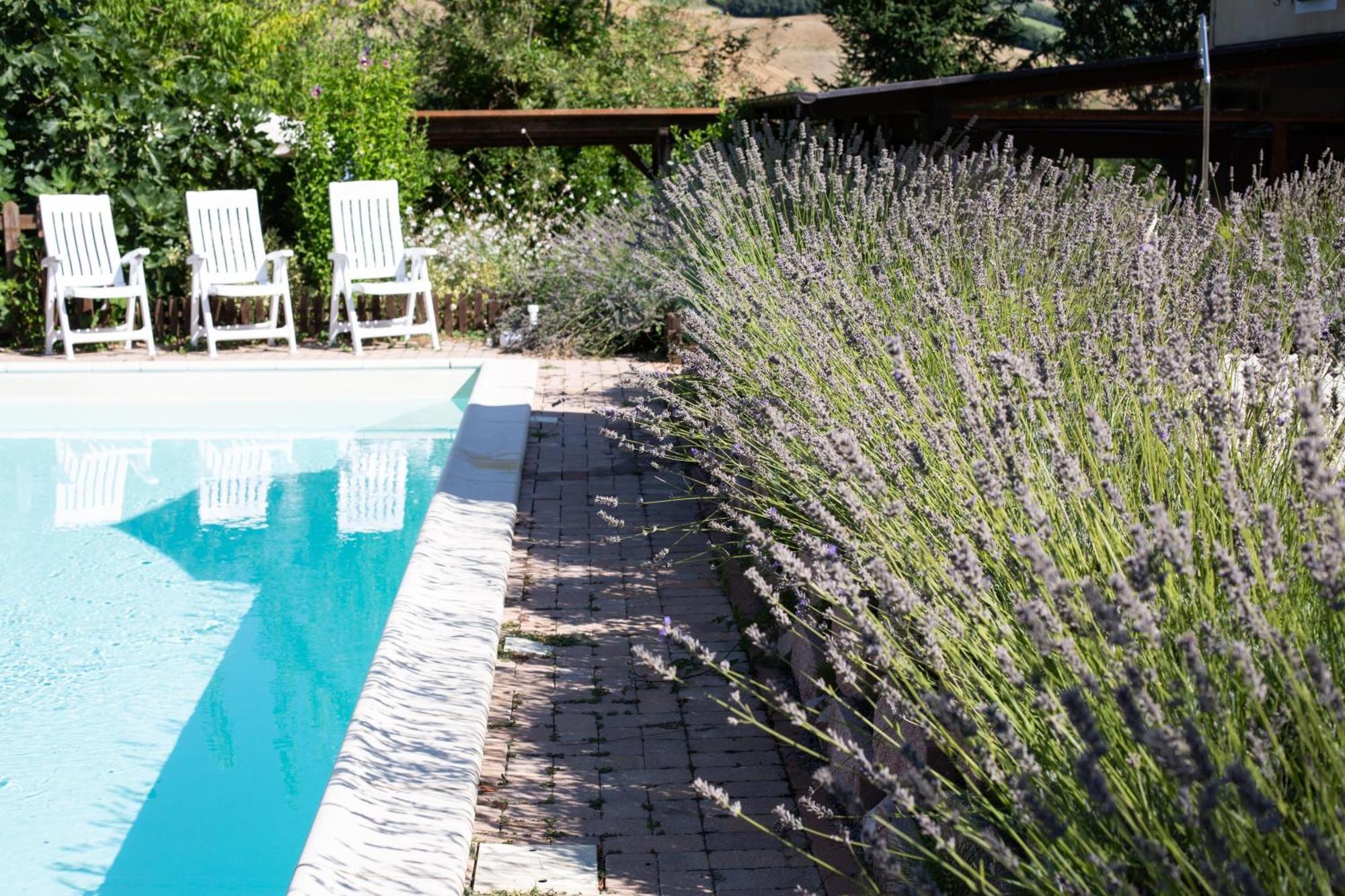 Country House Villa Sabrina San Ginesio Exterior photo